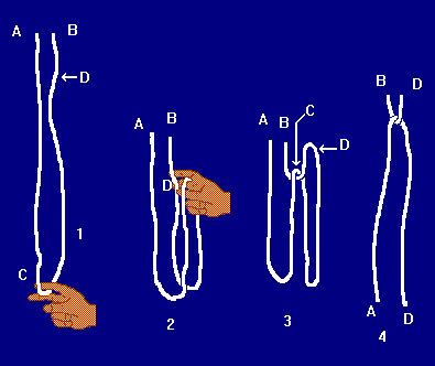 Cut and Restored Rope Trick - Magic Methods